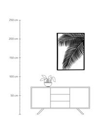 Kovová nástěnná dekorace Dimpia, Potažená ocel, Černá, Š 74 cm, V 100 cm