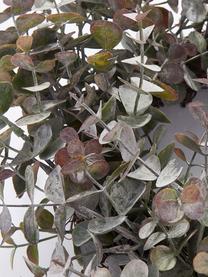 Ręcznie wykonany wieniec eukaliptusowy z tworzywa sztucznego Eurelia, Tworzywo sztuczne, Pudrowy zielony, Ø 46 x W 10 cm