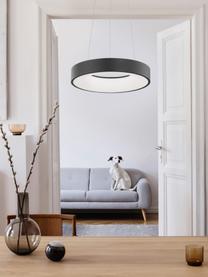 Dimbare LED hanglamp Rando in zwart, Lampenkap: gecoat aluminium, Diffuser: acryl, Baldakijn: gecoat aluminium, Zwart, Ø 38 x H 6 cm