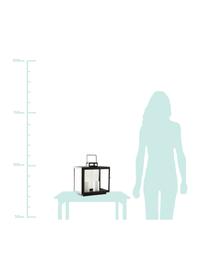 Lanterna Lacie, Struttura: metallo rivestito, Nero, Larg. 32 x Alt. 33 cm
