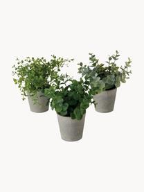 Plante artificielle en pot Timothy, 3 élém., Plastique, Vert, gris, long. 18 cm