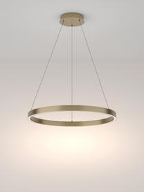 Grosse LED-Pendelleuchte Rim, Lampenschirm: Aluminium, Baldachin: Aluminium, Goldfarben, Ø 60 x H 40 cm