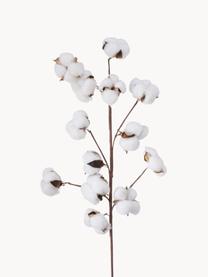 Flor arificial Baumwolle, Fibra natural, poliéster, papel, Marrón, blanco, L 68 cm