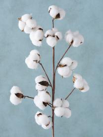 Flor arificial Baumwolle, Fibra natural, poliéster, papel, Marrón, blanco, L 68 cm