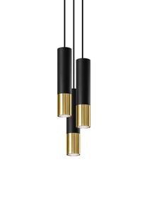 Lámpara de techo cluster pequeña Longbot, Pantalla: acero recubierto, Anclaje: acero recubierto, Cable: plástico, Estructura: madera de roble, negro pintado Patas: dorado brillante cepillado, Ø 15 x Al 30 cm