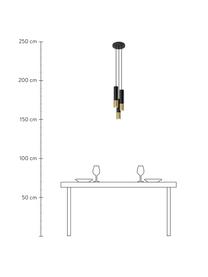 Lámpara de techo cluster pequeña Longbot, Pantalla: acero recubierto, Anclaje: acero recubierto, Cable: plástico, Estructura: madera de roble, negro pintado Patas: dorado brillante cepillado, Ø 15 x Al 30 cm