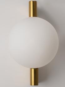 Aplique de vidrio Avant, Anclaje: metal recubierto, Blanco, dorado, An 18 x F 22 cm