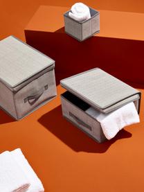 Klappbare Aufbewahrungsbox Tidy, B 30 cm, Bezug: Kunstfaser, Gestell: fester Karton, Grautöne, B 30 x T 30 cm