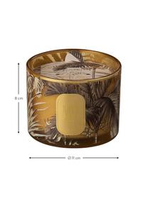 2-lonts geurkaars Tropical Jungle (tulpen), Houder: glas, Bruin, goudkleurig, Ø 11 x H 8 cm