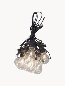 Guirnalda de luces LED Circus, 405 cm, Negro, transparente, L 405 cm