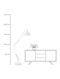 Lámpara de escritorio grande Job, Pantalla: metal con pintura en polv, Cable: plástico, Blanco, negro, Ø 38 x Al 180 cm