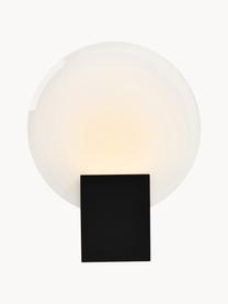 Dimmbare LED-Wandleuchte Hester, Lampenschirm: Glas, Weiss, Schwarz, B 20 x H 26 cm