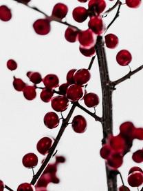 Placemats rood Berries, 4 stuks, Polyester, Wit, rood, zwart, 35 x 45 cm