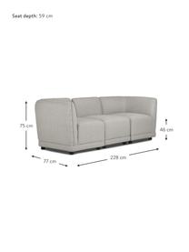 Sofa modułowa Ari (3-osobowa), Tapicerka: 100% poliester Dzięki tka, Stelaż: lite drewno, sklejka, Nogi: tworzywo sztuczne, Szary, S 228 x G 77 cm