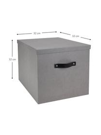Skladovací box Texas, Světle šedá, Š 32 cm, V 32 cm