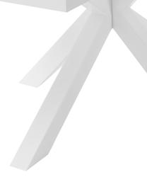 Eettafel New-Arya, 160 x 100 cm, Tafelblad: MDF, melamine bekleed, Frame: gelakt metaal, Wit, B 160 x D 100 cm