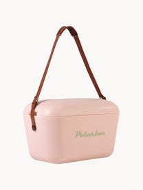 Box refrigerante POL-Classic, varie misure, Rosa chiaro, Larg. 45 x Alt. 30 cm