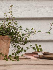 Komplet narzędzi ogrodniczych Gardenia, 2 elem., Drewno jesionowe, kolor miedziany, Komplet z różnymi rozmiarami