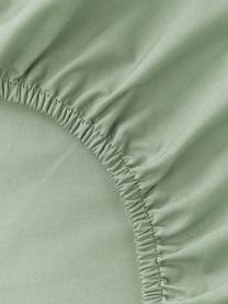Drap-housse en percale de coton pour sommier tapissier Elsie, Vert sauge, larg. 90 x long. 200 cm, haut. 35 cm
