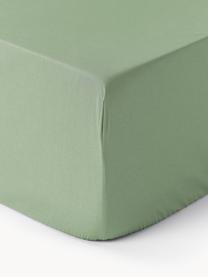 Drap-housse en percale de coton pour sommier tapissier Elsie, Vert sauge, larg. 160 x long. 200 cm, haut. 35 cm