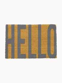 Fussmatte Big Hello, Flor: 40 % Kokosfaser (Coir), Beige, Grau, B 40 x L 60 cm