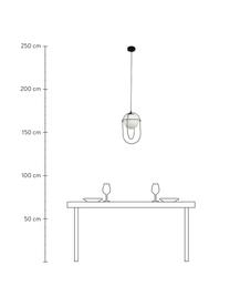 Kleine Pendelleuchte Axis mit Glasschirm, Lampenschirm: Glas, Baldachin: Metall, pulverbeschichtet, Schwarz, Ø 23 x H 37 cm