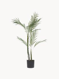 Plante artificielle en pot Palme, Plastique, Vert, noir, haut. 84 cm