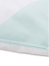 Couette matelassée pur duvet Premium, chaude, Chaude, larg. 200 x long. 200 cm