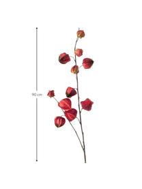 Set 2 fiori artificiali Physalis, Plastica, Arancione, lilla, Alt. 90 cm