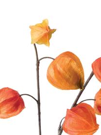 Set 2 fiori artificiali Physalis, Plastica, Arancione, lilla, Alt. 90 cm