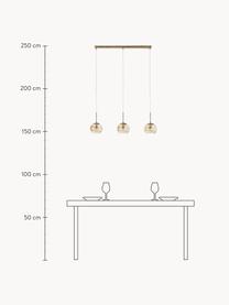 Große Pendelleuchte Hamilton, Gestell: Metall, gebürstet, Baldachin: Metall, gebürstet, Goldfarben, B 81 x H 13 cm