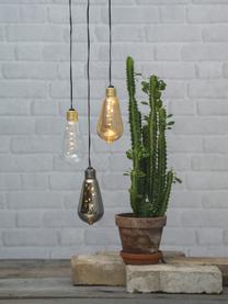 Decoratieve lamp Glow, Lampenkap: getint glas, Fitting: gecoat metaal, Zwart, Ø 6 x H 13 cm