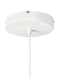 Lampada grande a sospensione a LED Paula, Struttura: metallo verniciato a polv, Baldacchino: metallo verniciato a polv, Bianco, Larg. 55 x Alt. 49 cm