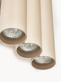 Luminaire LED up & down Tacey, Métal, Beige clair, larg. 18 x haut. 28 cm