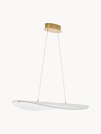 Grote dimbare hanglamp Agos, Diffuser: acrylglas, Goudkleurig, transparant, B 97 x D 67 cm