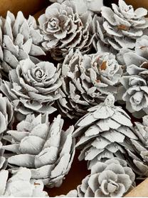 Komplet dekoracji Pinecones, 18 elem., Szyszki sosnowe powlekane, Biały, Ø 6 x W 6 cm