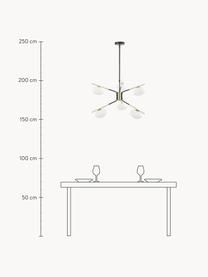 Velké designové závěsné svítidlo Guna, Černá, zlatá, Ø 70 cm, V 10 cm