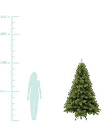 Albero di Natale artificiale Rochdale, Verde, Ø 107 x Alt. 185 cm