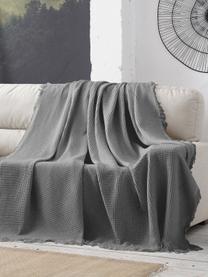 Copridivano multifunzionale Amazonas, 80% cotone, 20% altre fibre, Grigio, Larg. 180 x Lung. 260 cm