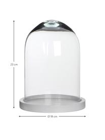 Cloche en verre Hella, Cloche : transparent Sous-verre : blanc