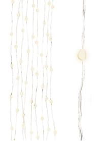 Décoration lumineuse Noël Triny, blanc chaud, Plastique, Transparent, long. 80 cm