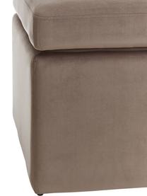 Fluwelen poef Winou met opbergruimte in beige, Bekleding: fluweel (100% polyester), Frame: metaal, Beige, 55 x 46 cm