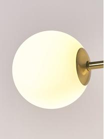 Klosz zapasowy do lampy Aurelia/Grover, Szkło opalowe, Złamana biel, matowy, Ø 10 cm