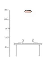 LED-Deckenleuchte Malin aus Metall, Lampenschirm: Metall, Diffusorscheibe: Acryl, Schwarz, Weiß, Ø 39 x H 7 cm