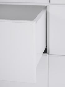 Kleiderschrank Harlequin, Korpus: Mitteldichte Holzfaserpla, Front: Plexiglas, Griffe: Messing, Weiß, B 106 x H 176 cm