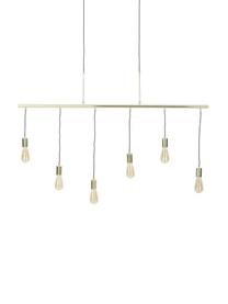 Grosse Pendelleuchte Pole in Gold, Baldachin: Stahl, vermessingt, Messingfarben, 135 x 92 cm