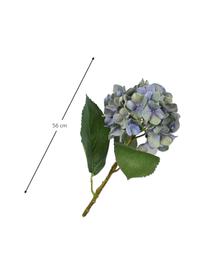 Flor artificial Hortensie, Plástico, alambre de metal, Azul, L 56 cm