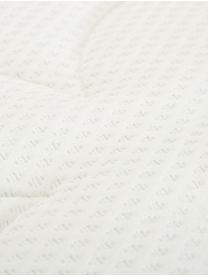 Premium fluwelen boxspring bed Lacey, Matras: 7-zones-pocketveringkern , Poten: massief gelakt beukenhout, Donkergrijs, 140 x 200 cm