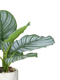 Planta artificial con maceta Marmura, Verde, tonos marrones, blanco, Ø 12 x Al 23 cm
