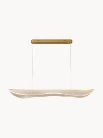 Grande suspension LED Cortina, Transparent, doré, larg. 120 x haut. 34 cm